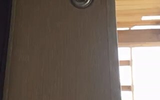 поворотная задвижка для дополнительной створки